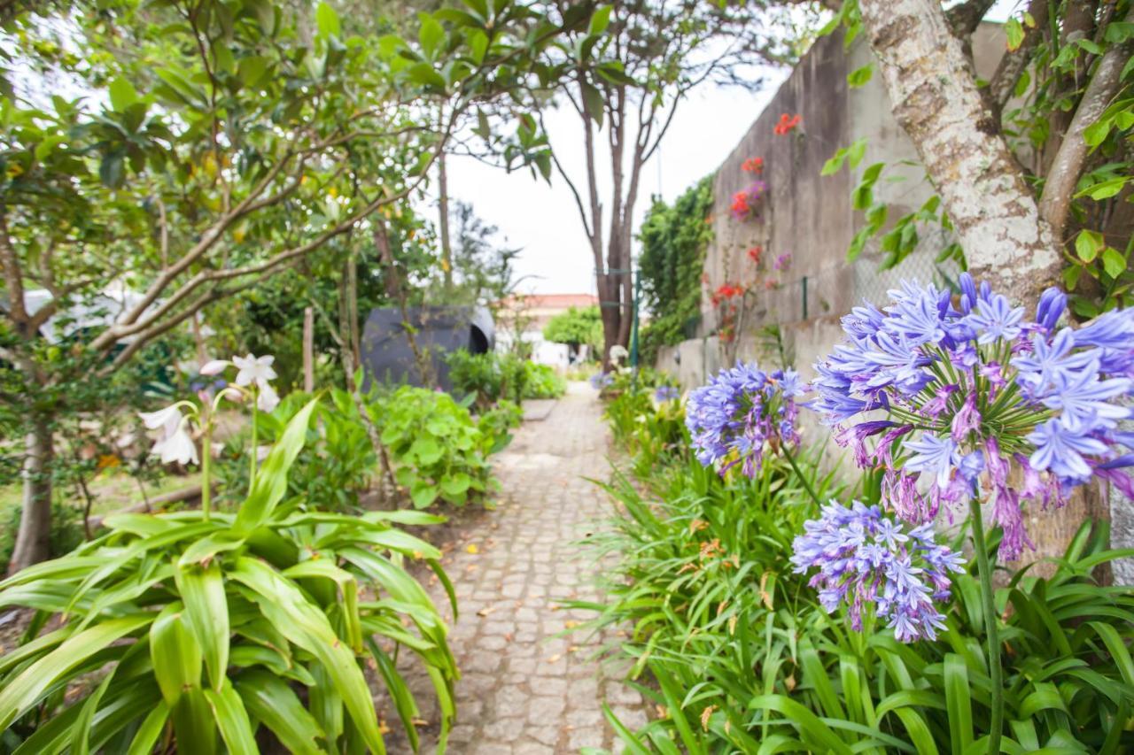 Beautiful Country House&Romantic Garden Sintra Buitenkant foto